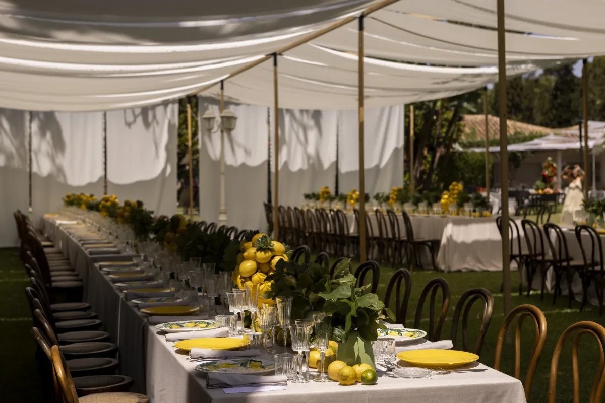 20240828175149_portfolio_80_0230-ireneotamendi-1032